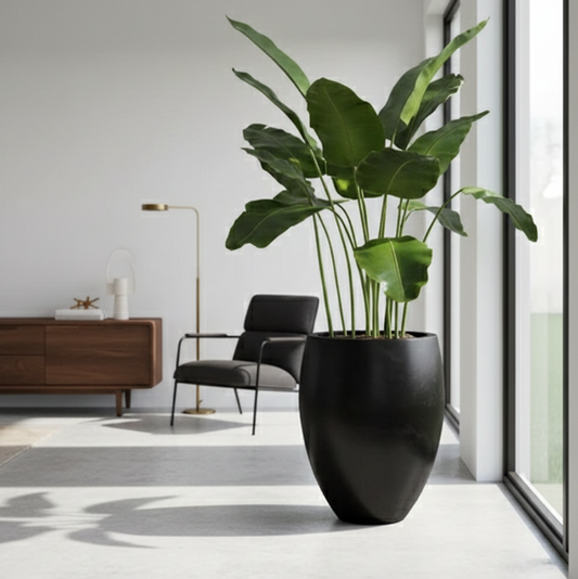 Modern interior with a large black planter holding a green plant, a gray armchair, and a wooden sideboard.