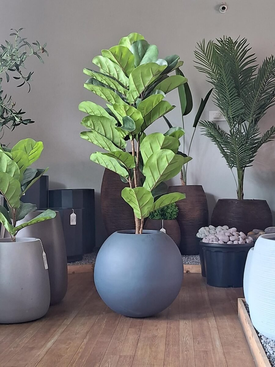 DHARA Round FRP Planter – Elegant, Durable Design for Any Space