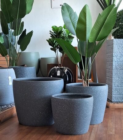 CLARA Round FRP Planter – Timeless Premium Decor Piece