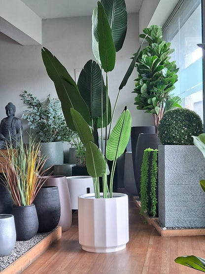SAMYA Cylindrical Planter – Elegant Premium FRP Planter