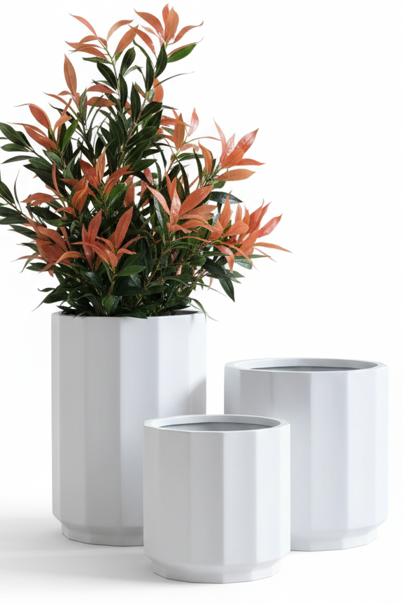 Set of three white planters with a green plant on a white background