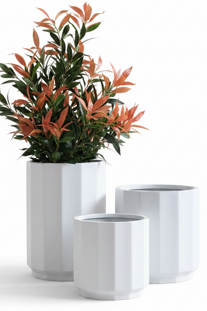 Set of three white planters with a green plant on a white background
