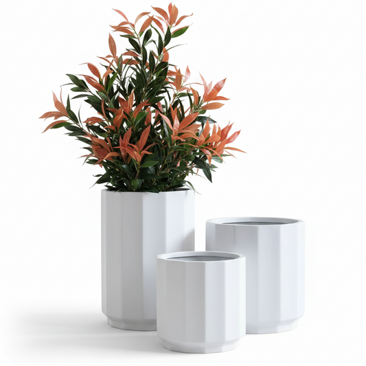 Set of three white planters with a green plant on a white background