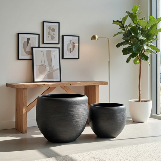 Modern interior with black planters, wooden bench, and framed art on a light wall.