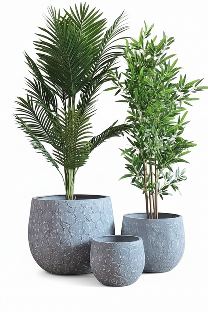 Three potted plants in gray textured pots on a white background
