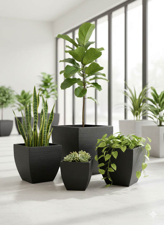 YUGA Square FRP Planter – Stylish Premium Planter for Any Space