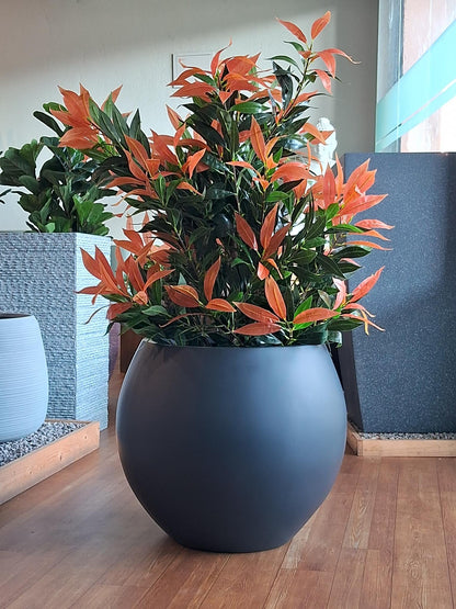 MAYA Round FRP Planter – Premium Quality & Elegant Design