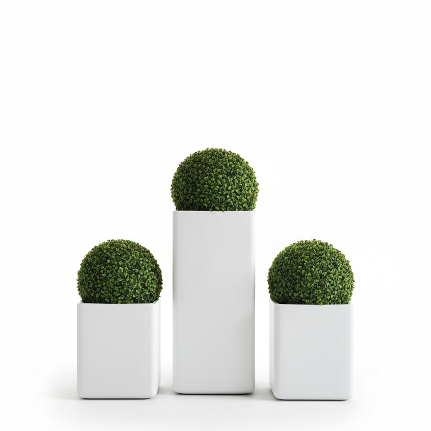 Three potted plants in white pots on a white background