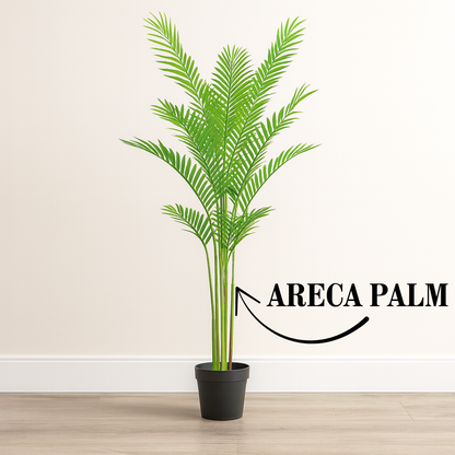 Premium Artificial Areca Palm Tree 71"