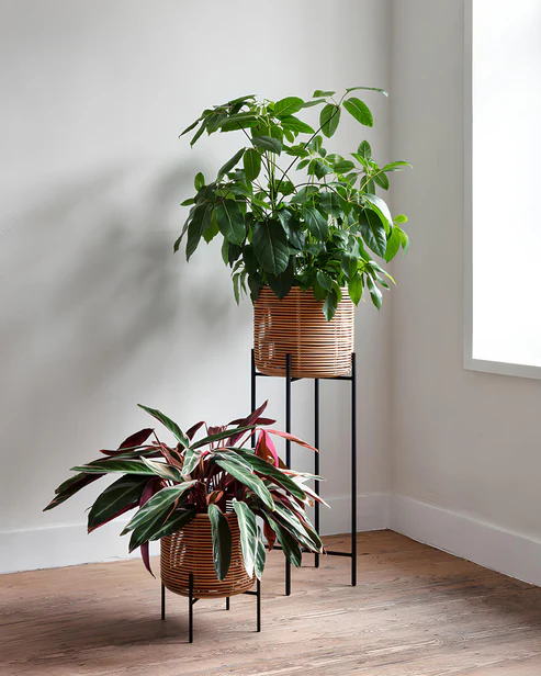 Anaisha Handcrafted Rattan Planters (Set of 4)