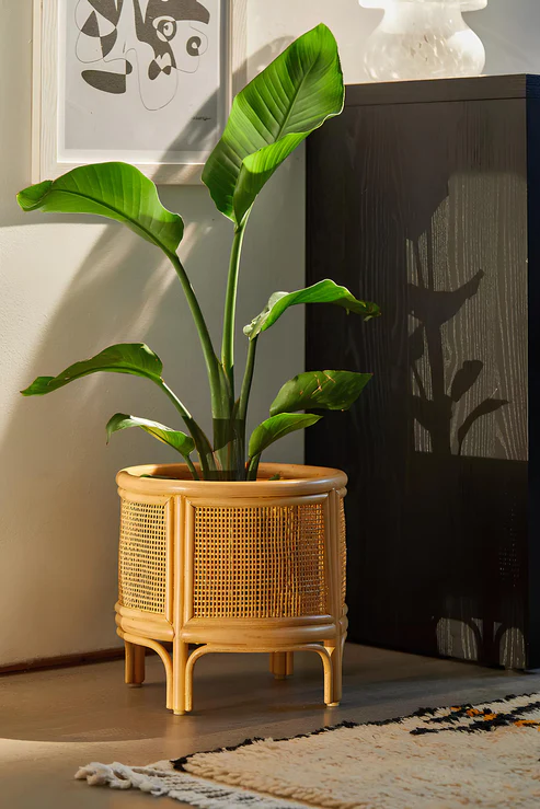 Anala Handcrafted Rattan Planter with Integrated Stand