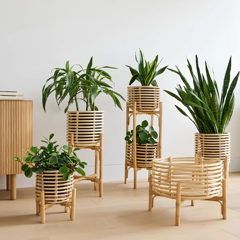 Ananya Handcrafted Rattan Planter with Stand
