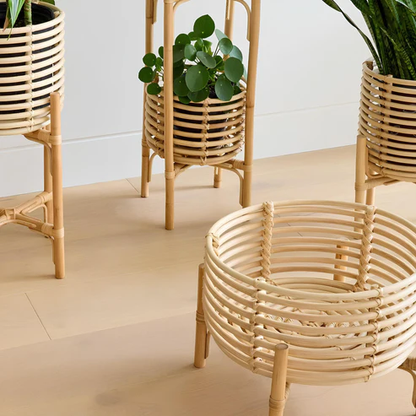 Ananya Handcrafted Rattan Planter with Stand