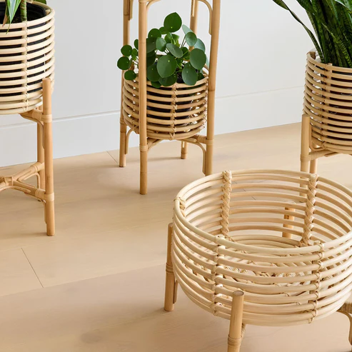 Ananya Handcrafted Rattan Planter with Stand