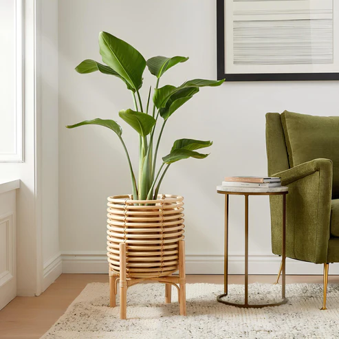 Ananya Handcrafted Rattan Planter with Stand