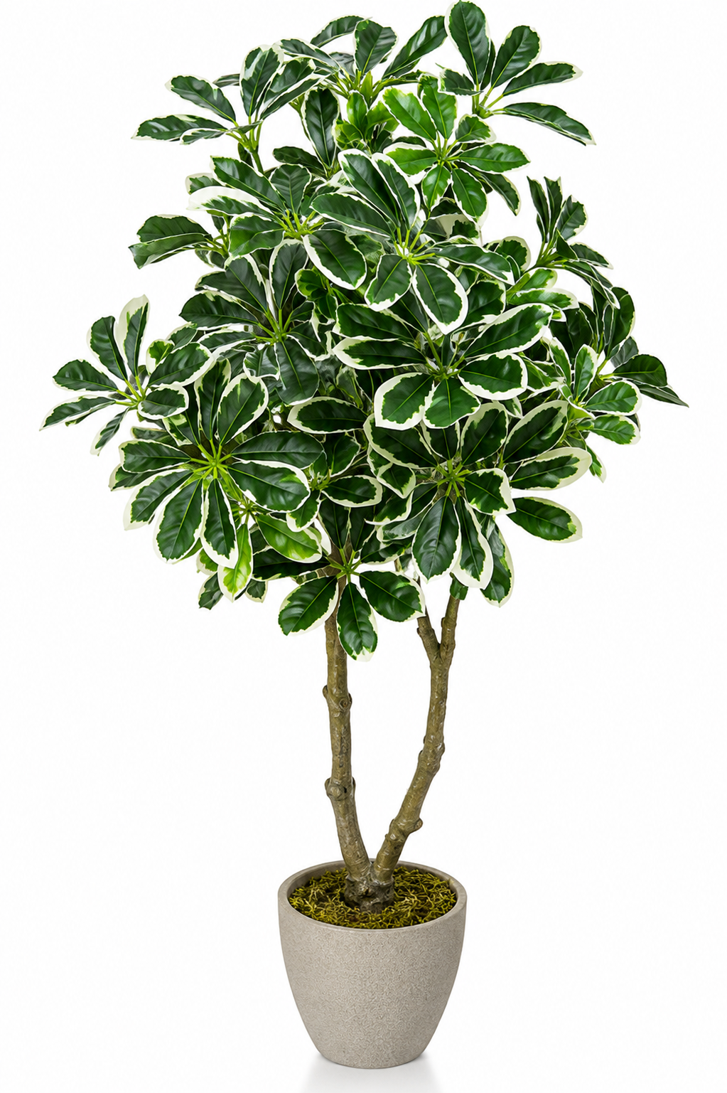 Artificial Umbrella Plant - 39.37″ Faux Decor