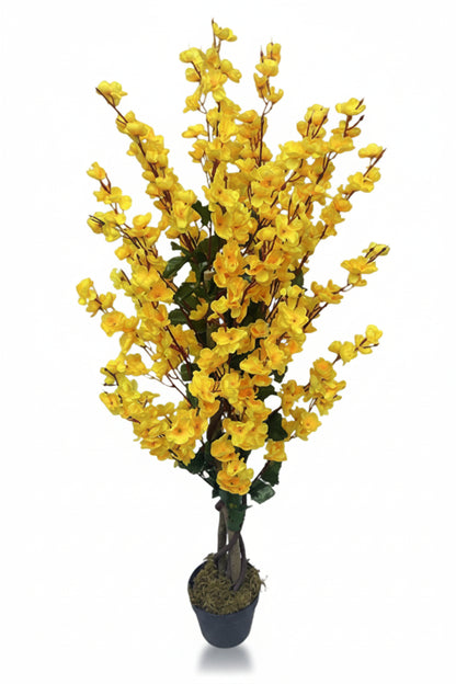 Potted plant with yellow flowers on a white background