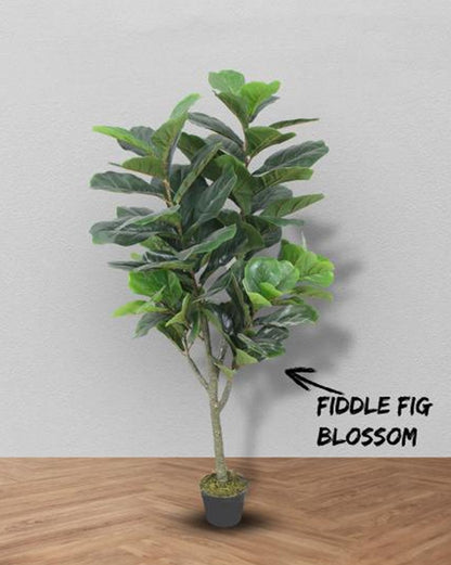 Fiddle Artificial Plant – Realistic Faux Fiddle Leaf Tree for Home And Office Decor 57″