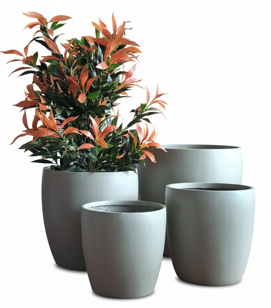 Set of gray planters with a potted plant featuring orange and green leaves on a white background
