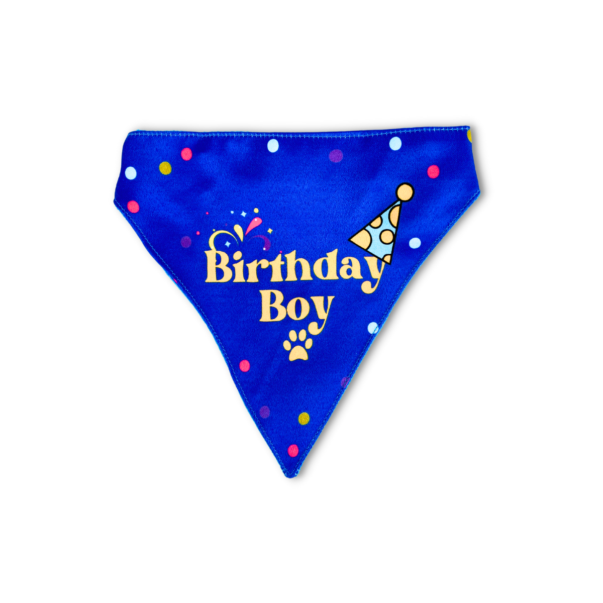 Pet Dog Bandana Birthday Boy