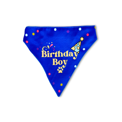Pet Dog Bandana Birthday Boy