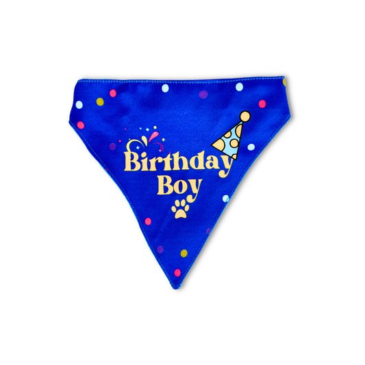 Pet Dog Bandana Birthday Boy