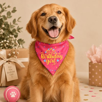 Pet Dog Bandana Birthday Girl