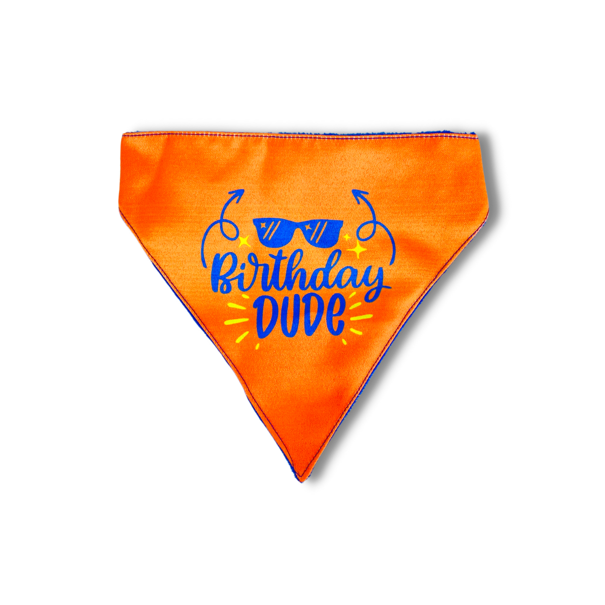 Pet Dog Bandana Birthday Dude