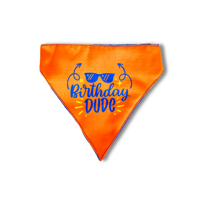 Pet Dog Bandana Birthday Dude