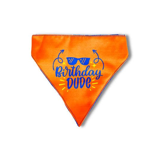 Pet Dog Bandana Birthday Dude