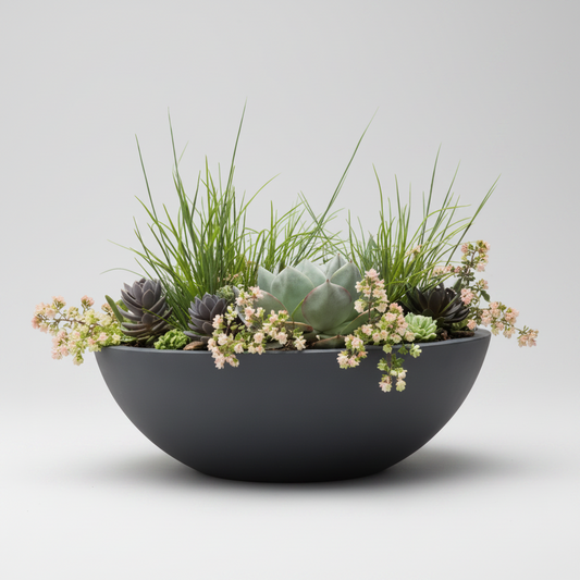 Black planter with succulents and grasses on a white background