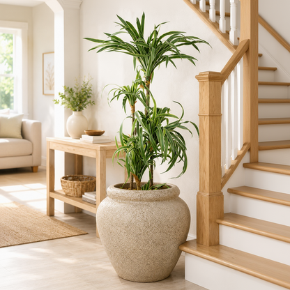 Broom Terra Traditional Fiberglass Planter