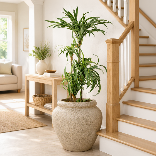 Broom Terra Traditional Fiberglass Planter
