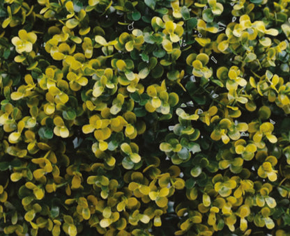 Artificial Buxus Yellow Topiary Ball
