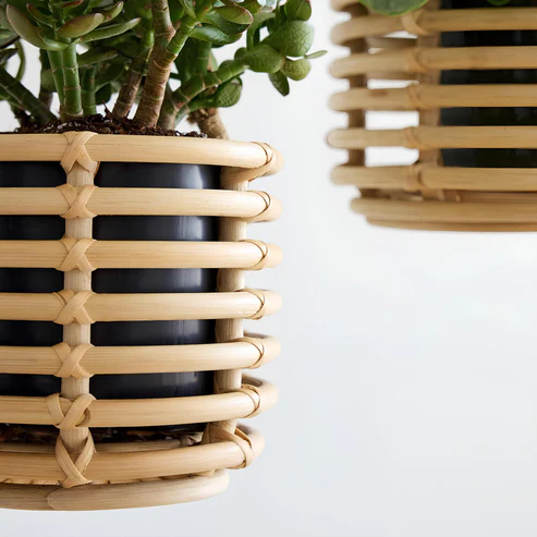 Asmee Handcrafted Rattan Hanging Planter (Set of 2)
