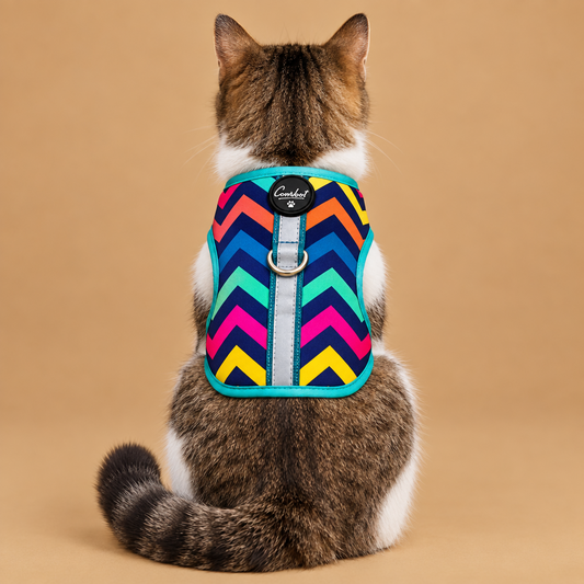 Premium Escape-Proof Cat Harness Colorful wave