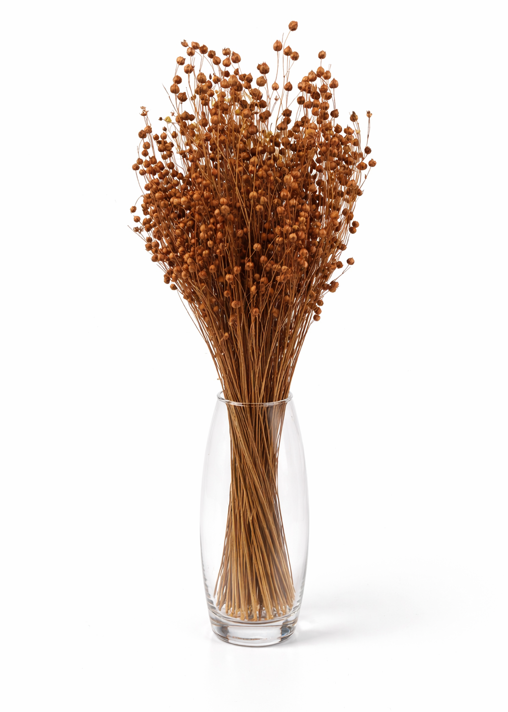 Light Brown Dried Linum (Flax) Bundle