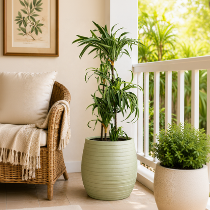 Cone Matt Fiberglass Planter