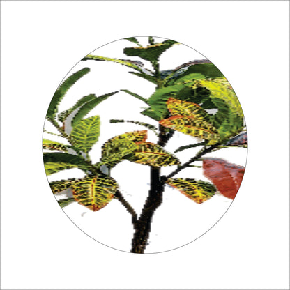 Premium Artificial Croton Plant 47"