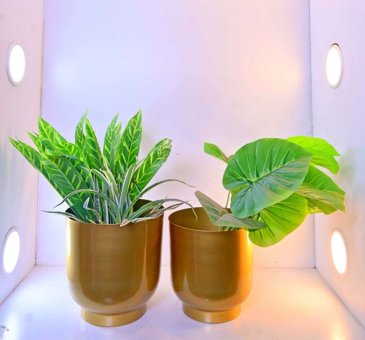 Round Planter Set of 2 – 8.27 Inch & 9.06 Inch – Modern Small Planters