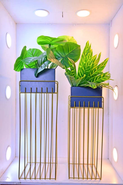 Modern Rectangular Banded Planter Set of 2 – Stylish Planters