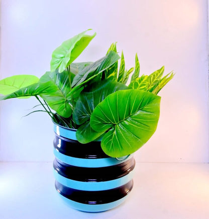 Bronze Concentric Band Pot – 13 Inch – Modern Decorative Planter