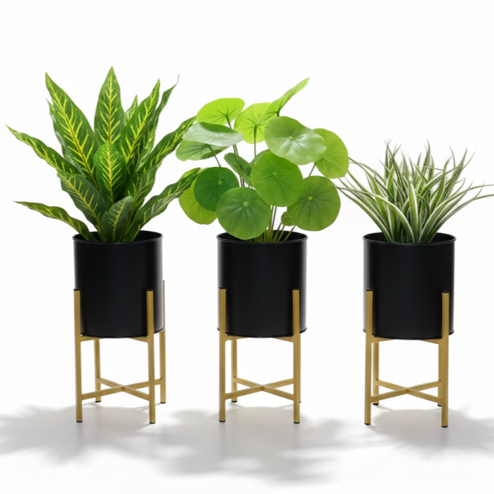 Three potted plants on stands against a white background