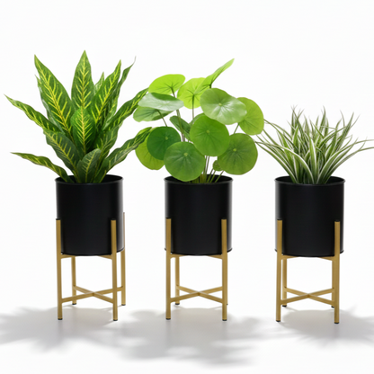 Three potted plants on stands against a white background