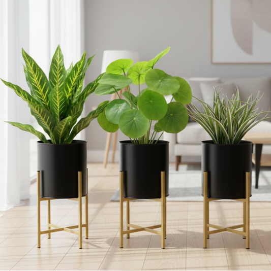 Three potted plants on stands in a modern living room.