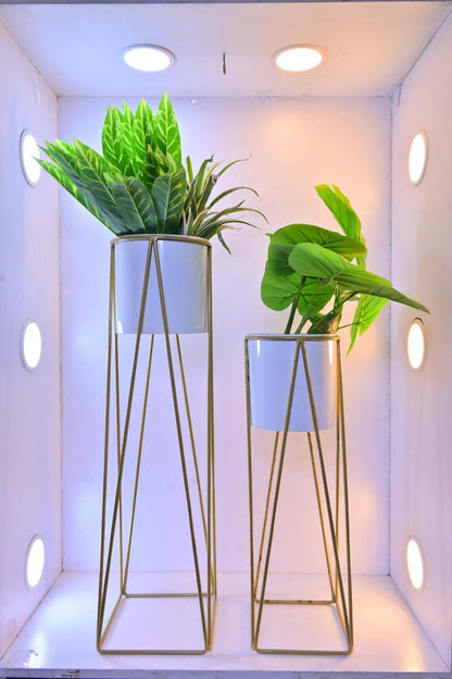 Metal Plant Stands with Cylindrical Pots – Set of 2 Modern Planters