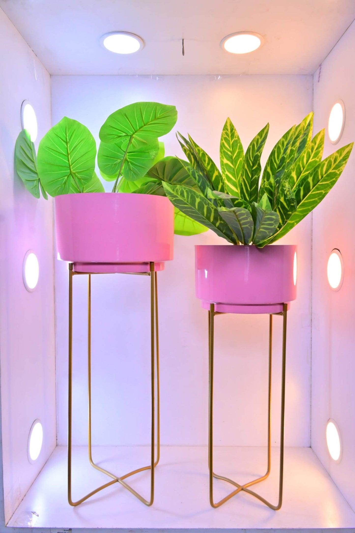 Tiered Cylinder Plant Stand Set of 2 – Modern Home Decor
