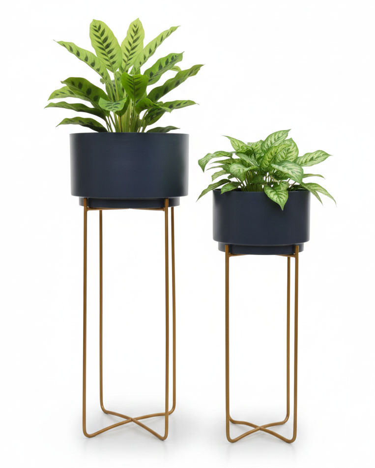 Two potted plants on stands with navy pots and gold stands against a white background