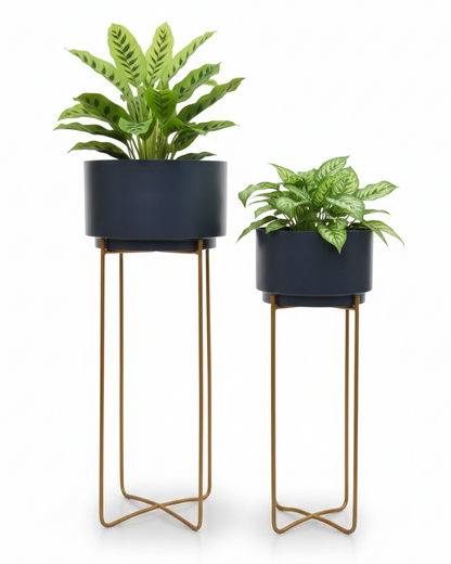 Two potted plants on stands with navy pots and gold stands against a white background