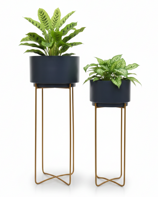 Two potted plants on stands with navy pots and gold stands against a white background
